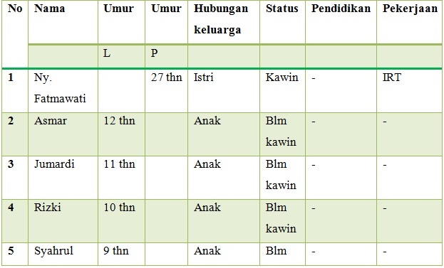 Contoh Askeb Komonitas Keluarga Pada Struktur Dan Sifat Keluarga ...